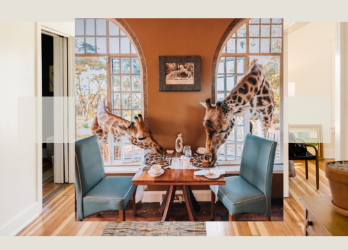 Comprehensive Guide: What You Should Know Before Travelling to Kenya