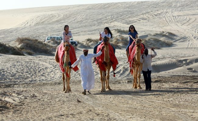 camels, desert, safari, sealine qatar, landscape, tourism, qatar, desert riding, nature, qatar, qatar, qatar, qatar, qatar